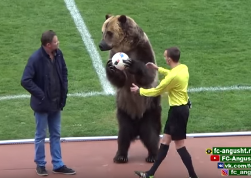 Medvjed im je maskota, ali da će s ovakvom grdosijom doći na utakmicu?!