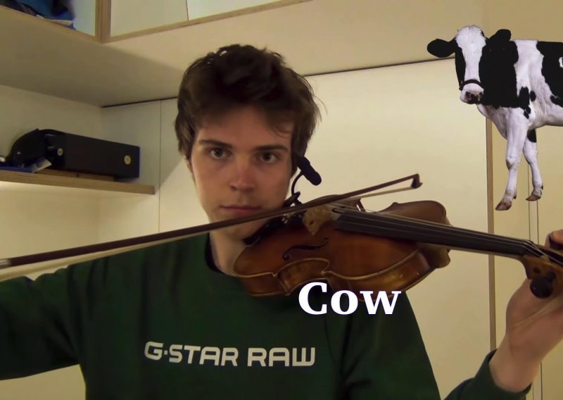 Mladi violinist svojim instrumentom savršeno imitira životinje