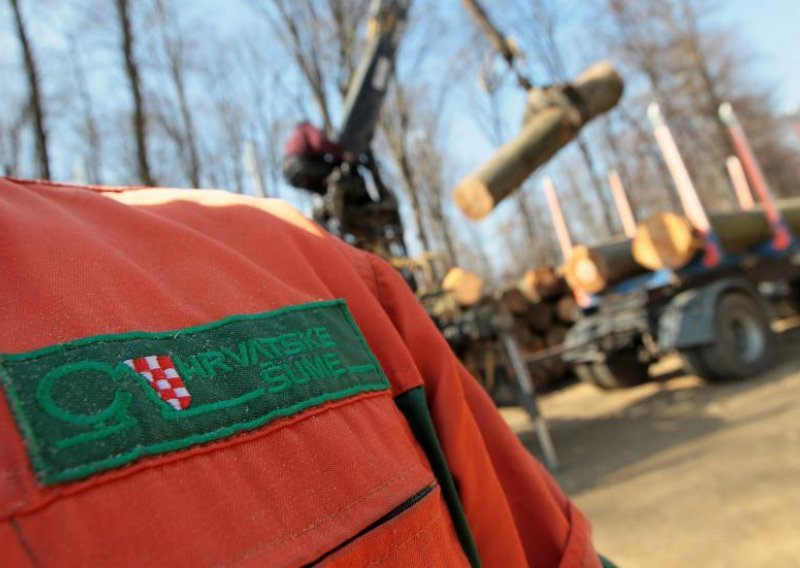 Hrvatske šume otpuštaju 500 inženjera i tehničara