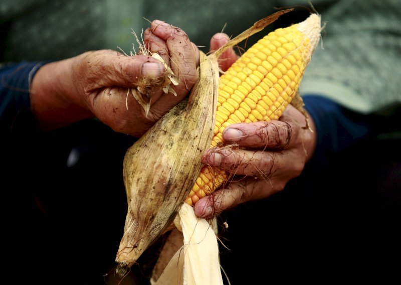 Kinezi platili 43 milijarde dolara da bi potukli Monsanto i neće stati