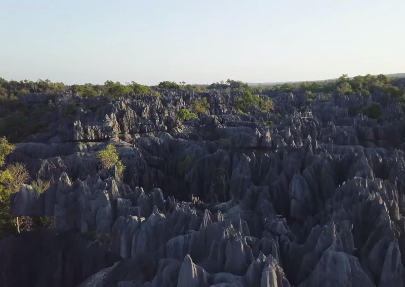 Zastanite za trenutak i divite se kamenoj šumi na Madagaskaru