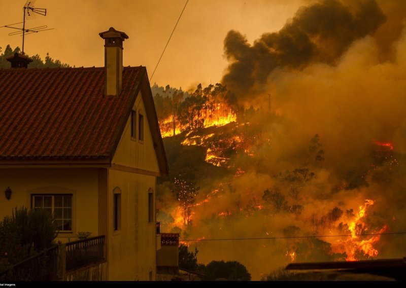 Državni i javni dužnosnici odgovarat će za ubojstvo nakon smrtonosnog šumskog požara