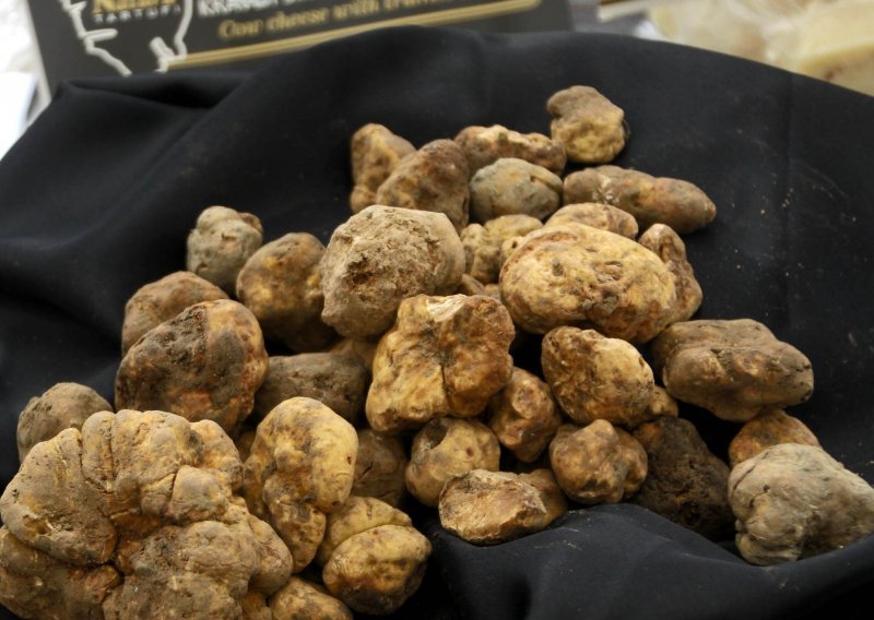 Podzemna gljiva intezivna mirisa prodana za čak 85.000 eura