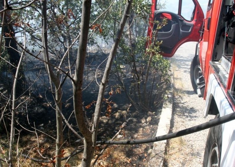 Vatrogasci pohrlili gasiti požar i na Učkoj