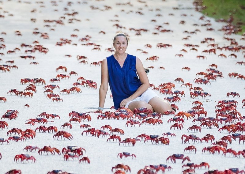 Milijuni crvenih rakova preplavili otok u Indijskom oceanu