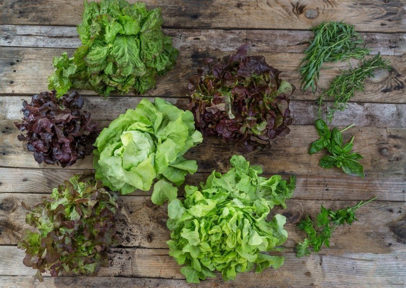 Znate li koje su salate najzdravije: Neke su ipak bolje od drugih