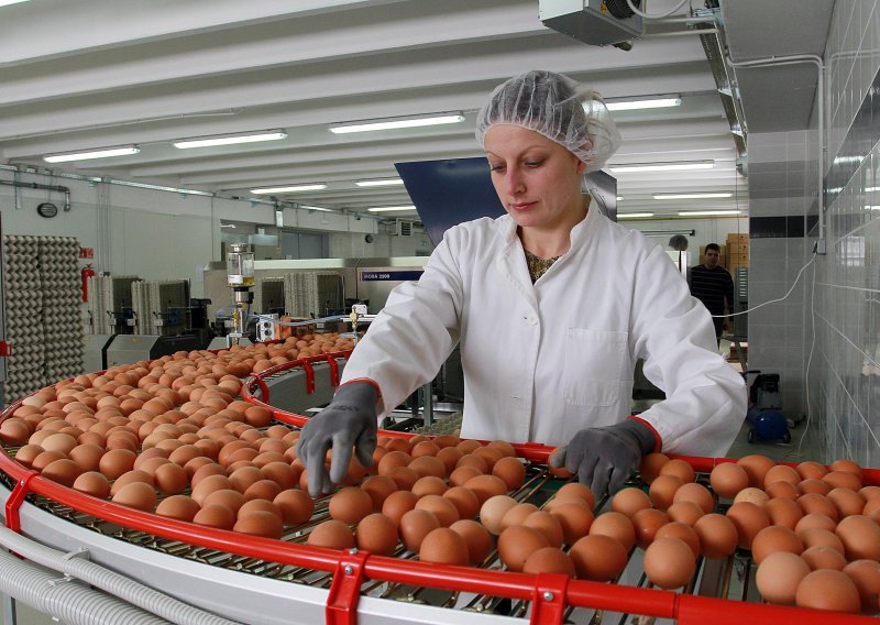 Eksplodirao izvoz hrvatskih jaja. Doznali smo zašto i prijeti li nam zbog toga nestašica te rast cijena