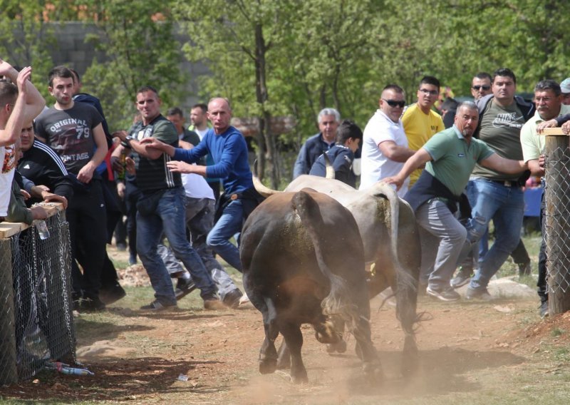 Pučko veselje na bikijadi: Pogledajte nadrealne prizore iz Dicma