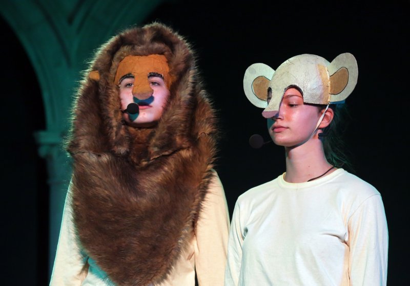 Predstava Kralj lavova u sklopu Međunarodnog dječjeg festivala