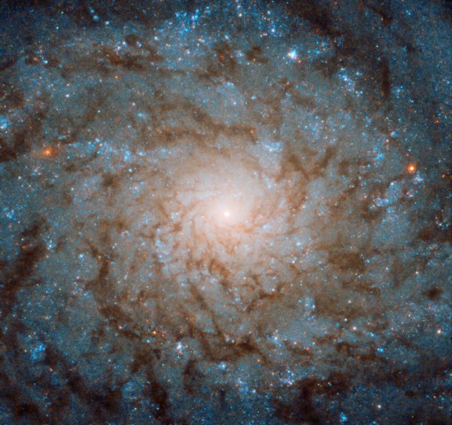 Anemična galaksija