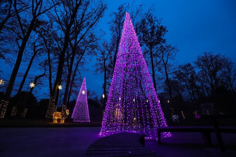 Zagrebački ZOO vrt okićen s nekoliko tisuća lampica