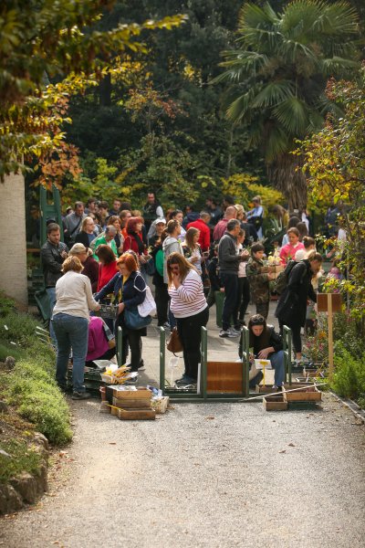 Godišnja rasprodaja u Botaničkom vrtu