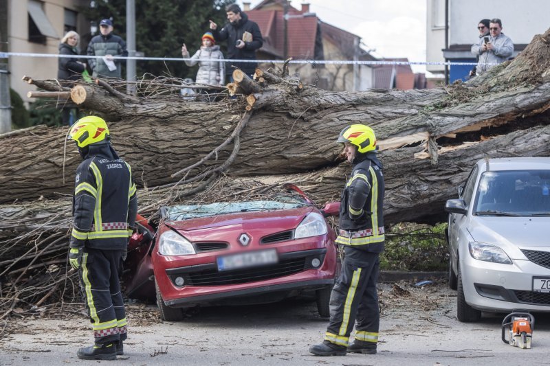 Vjetar srušio stablo u Zagrebu