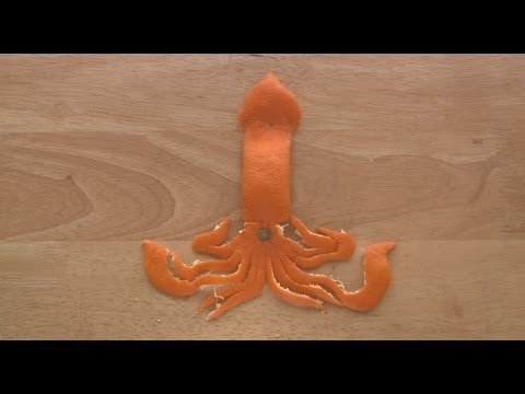 Lignja - Orange Origami Art