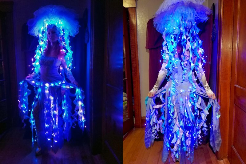 Bioluminiscentna meduza