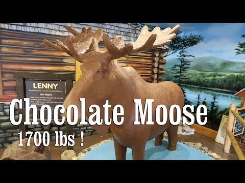 Najveći čokoladni los na svijetu