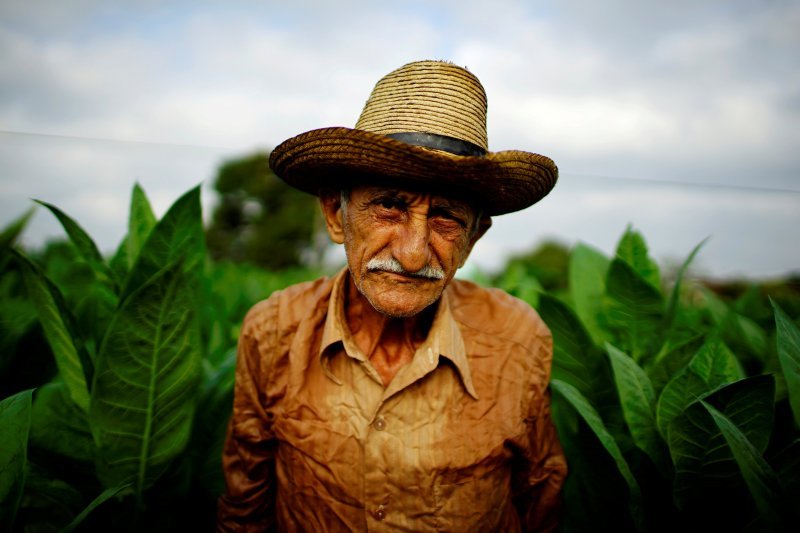 Poljoprivrednik Osvaldo Lemas pozira pred poljem duhana na Kubi