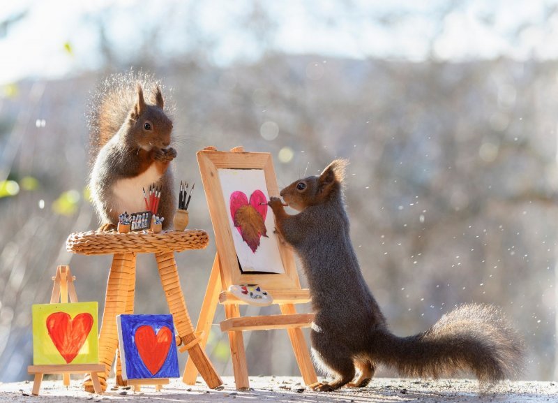 Vjeverice slikaju jesen