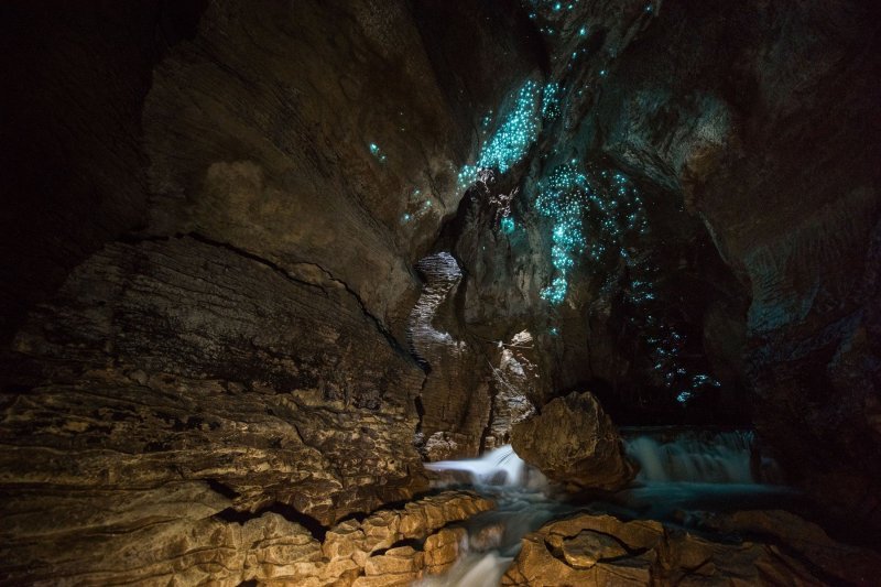 Novozelandska pećina