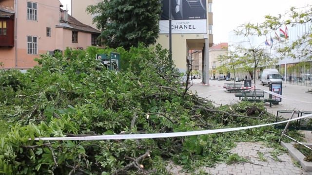 Tijekom noći zbog jakog vjetra palo stablo na ulaz u javni WC u Cesarčevoj