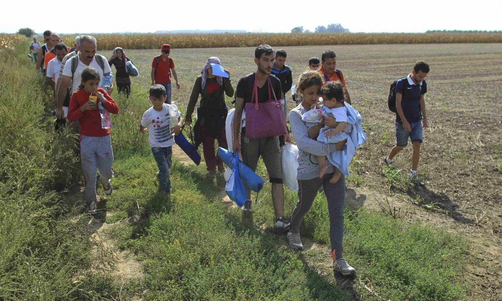izbjeglice idu kroz polja i kukuruzišta