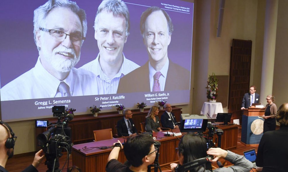 Istraživanje trojice Nobelovaca omogućuje borbu protiv raka i anemije