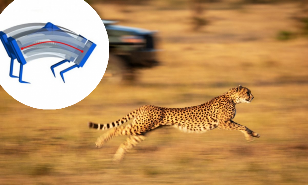Istraživače je nadahnula gepardova 'bistabilna' kralježnica