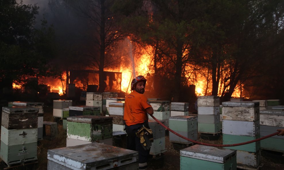 Vatra zahvatila sjeverna predgrađa Atene, Grčka