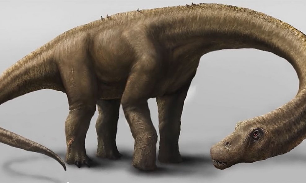 Dreadnoughtus schrani dinosaur