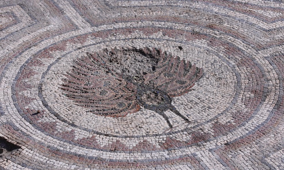 Salona mozaik