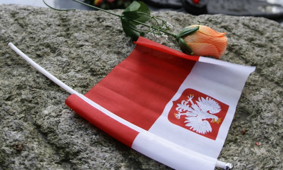Poljska zastava ruža