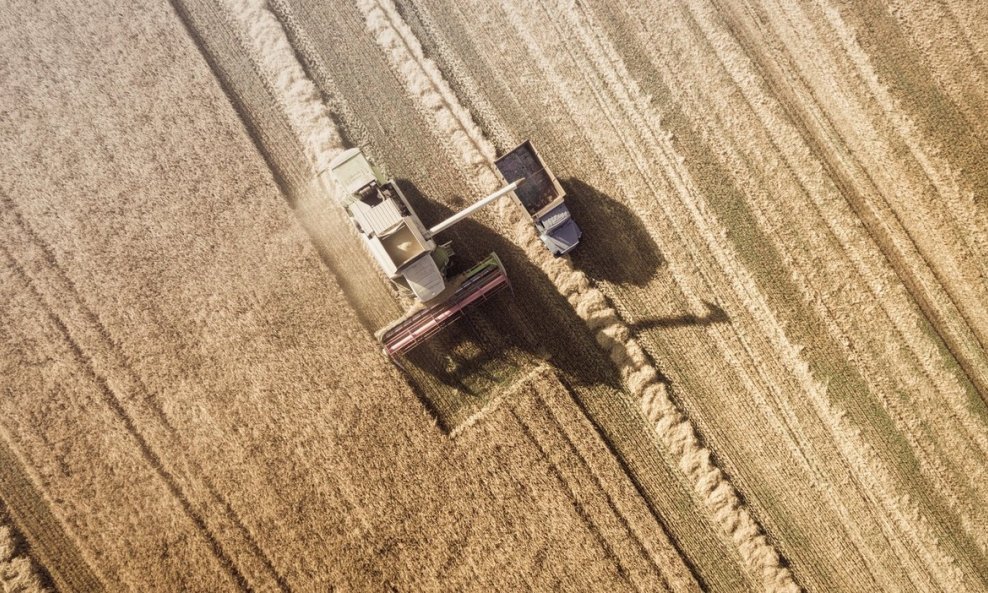 Žetva pšenice u Ukrajini