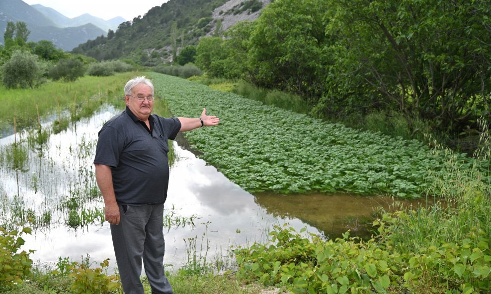 Miroslav Franić ispred poplavljenih nasada jagoda