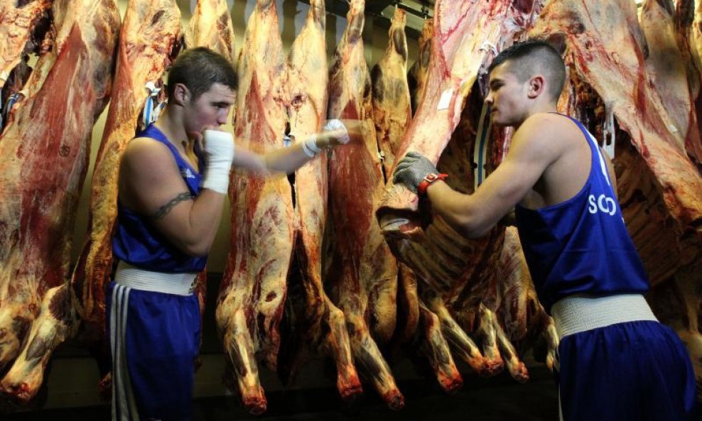 Škotski boksači treniraju na mesu (2)