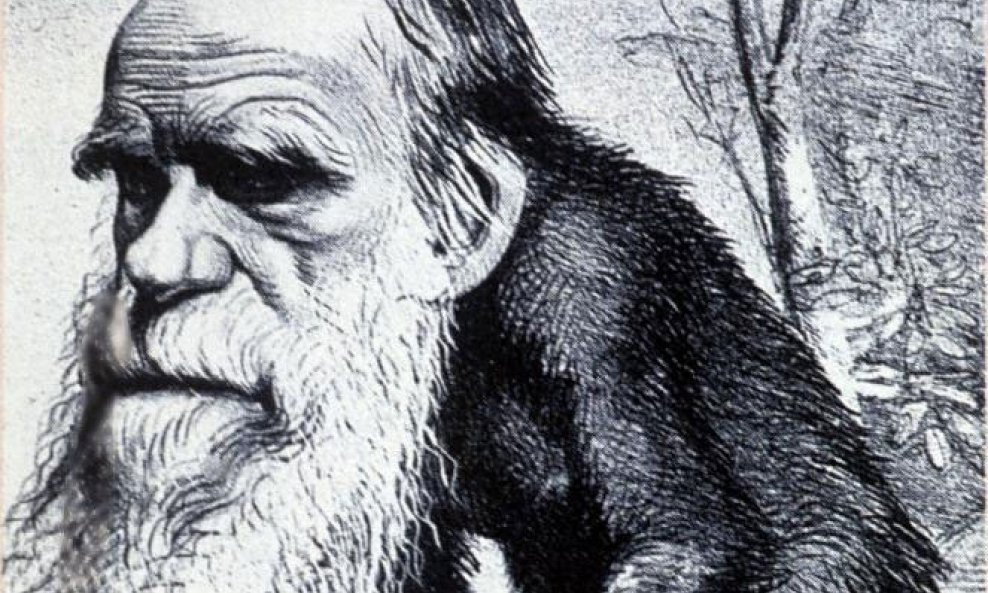 Darwin kreacionizam