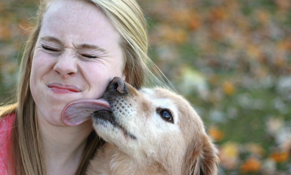 žena pas jezik lizanje