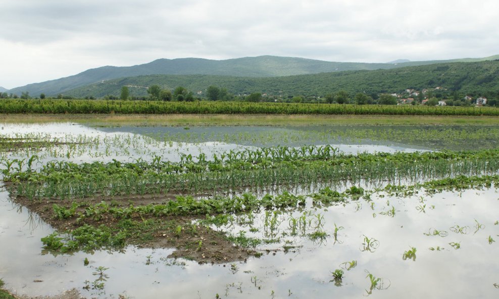 Poplavljeno polje u Imotskom