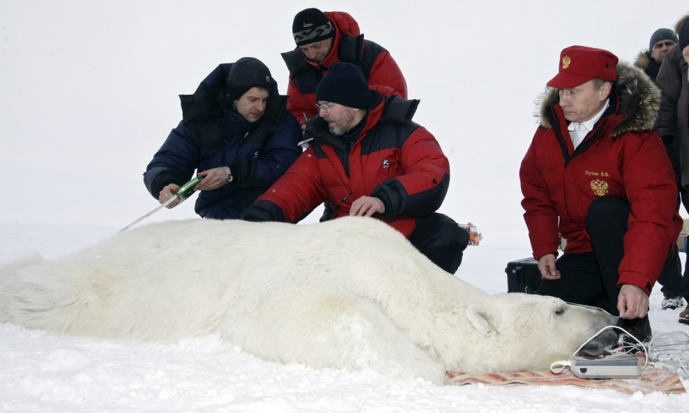putin medvjed arktik vodoravna