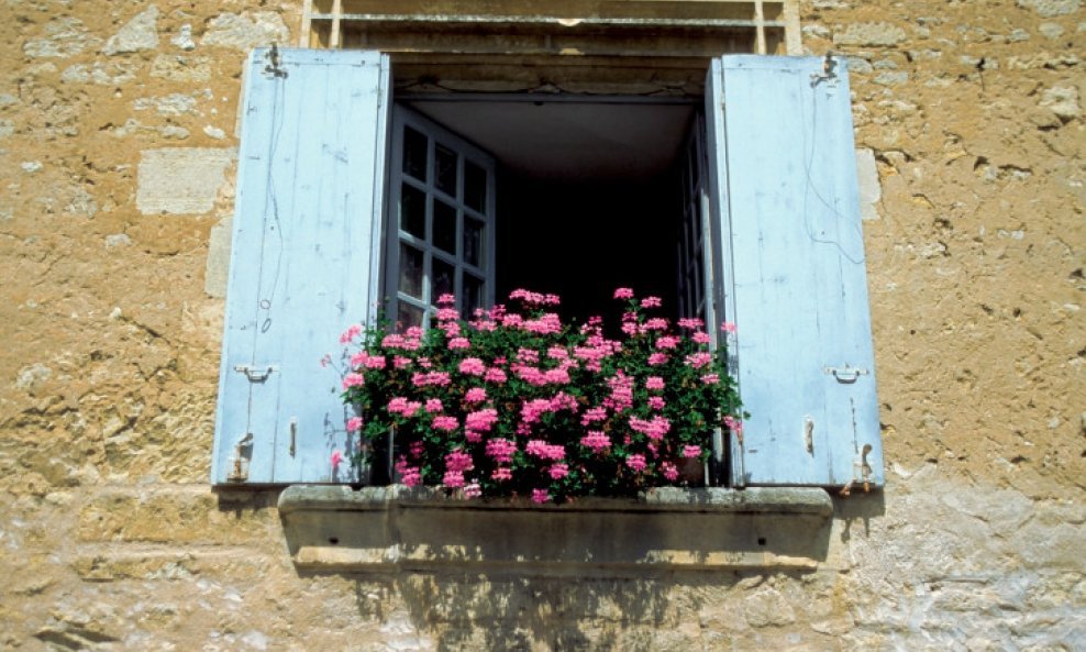 prozor cvijeće