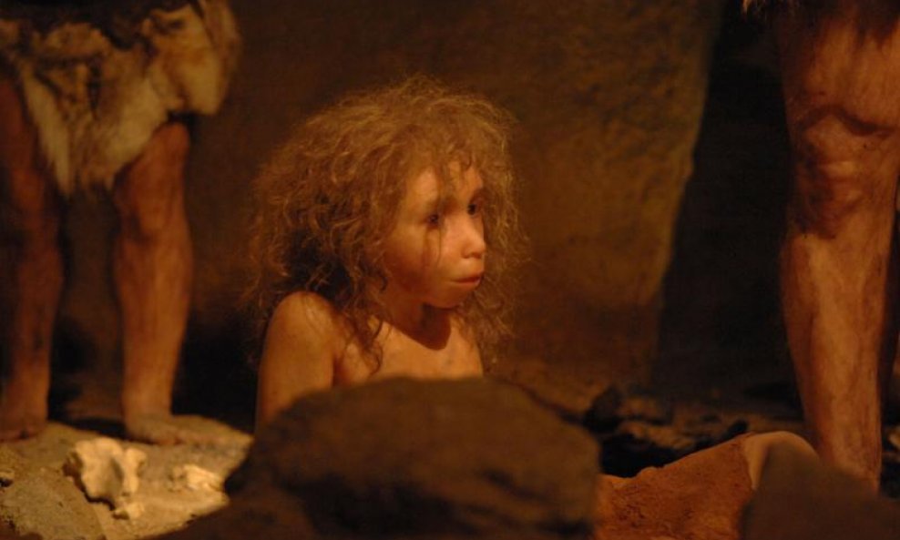 Muzej krapinskih neandertalaca (11)
