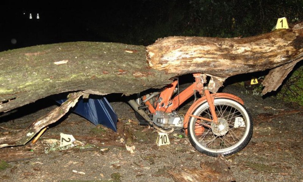 nesreća moped stablo