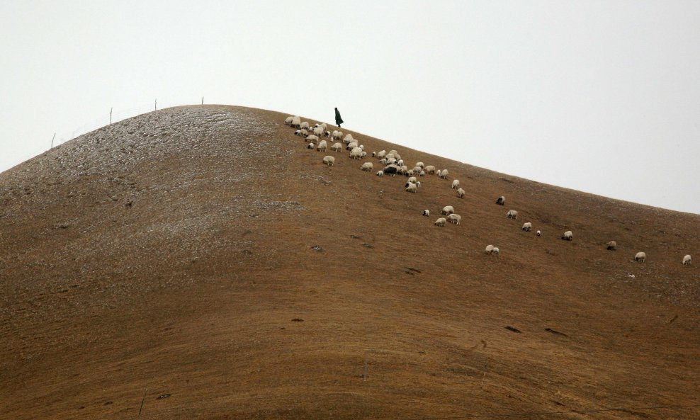 Tibetanski pastir 'uživa' u raju na 'krovu svijeta'