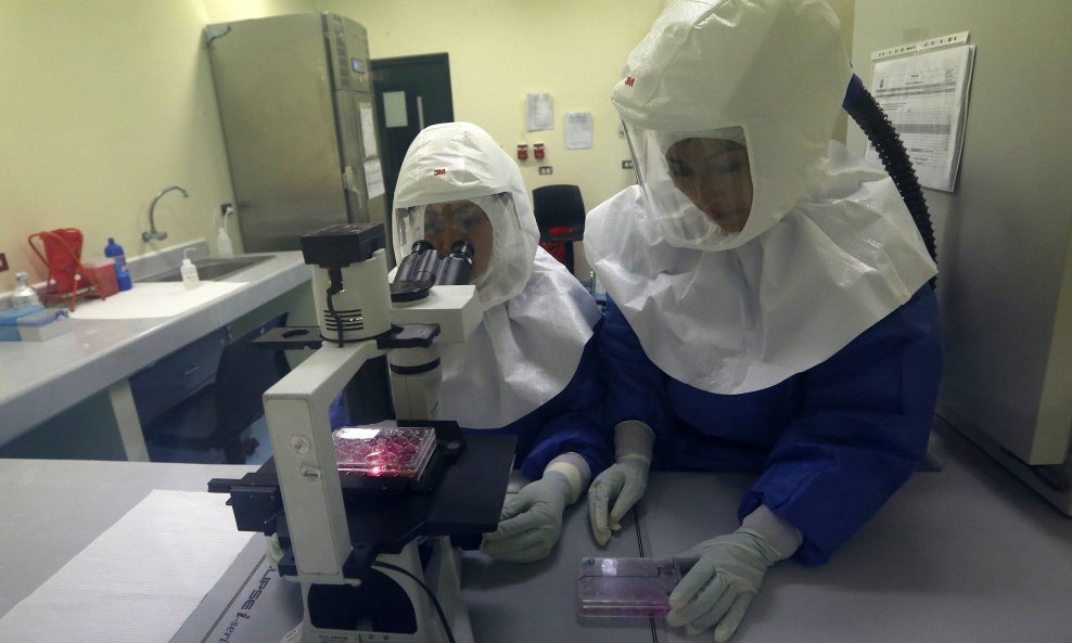 Stručnajci istražuju virus ebole