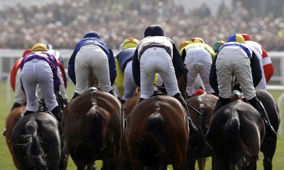 Poznata konjska utrka u Cheltenhamu (9)