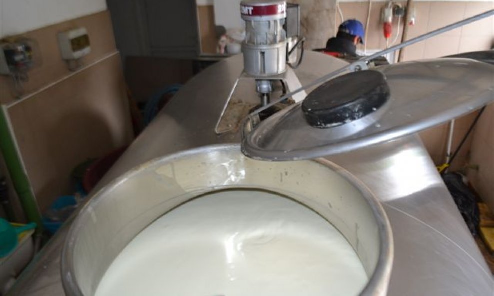 Zaustavljen je nagli pad proizvodnje mlijeka