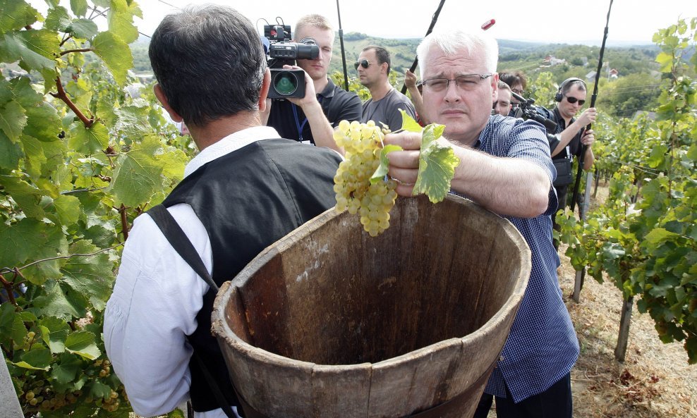 Predsjednik u akciji u vinogradu