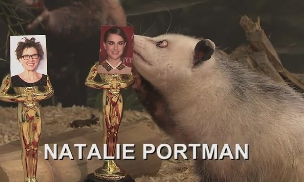 oposumka Heidi izabrala Natalie Portman