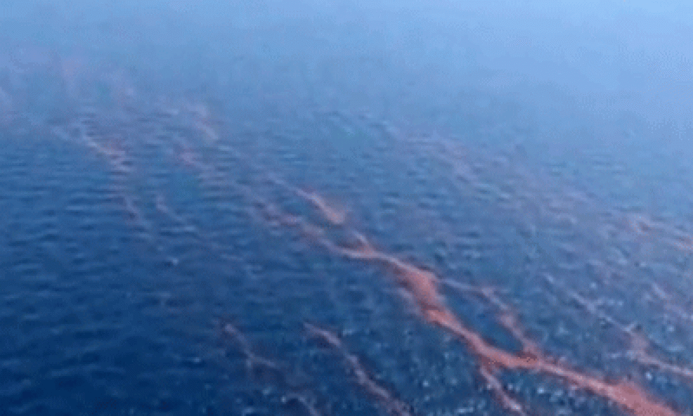 Izljevanje nafte u Meksičkom zaljevu