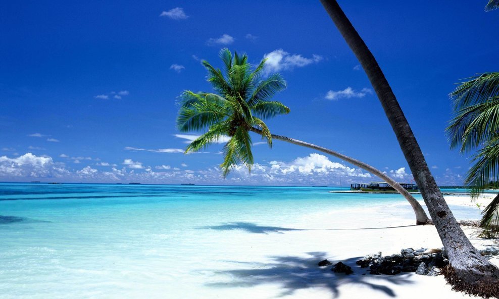 tropski raj maldivi