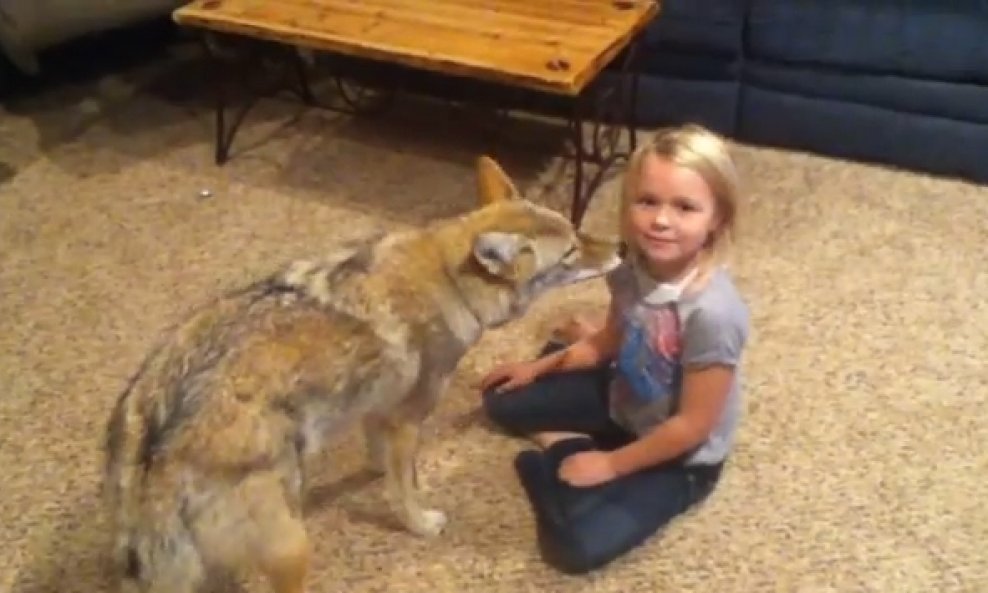 kojot djevojčica
